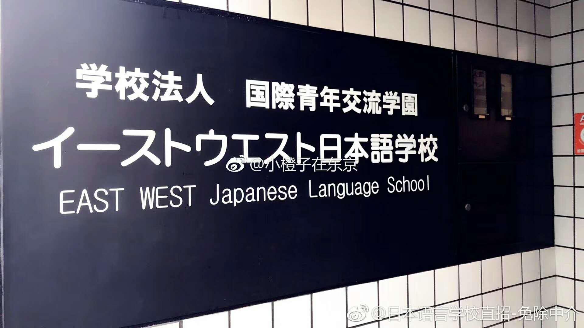 留學咨詢申請流程_留學咨詢申請_留學咨詢申請怎么寫