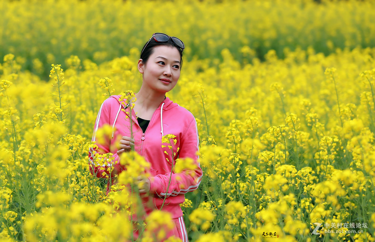 _描寫油菜的段落_摘抄油菜花優美句子