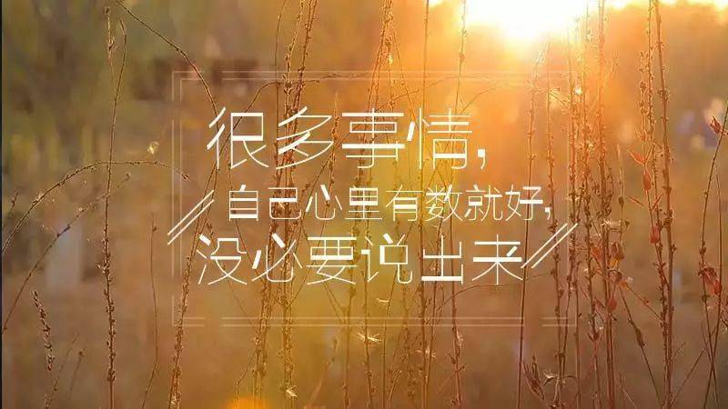 _好句摘抄的英文翻譯_句子摘抄的英語
