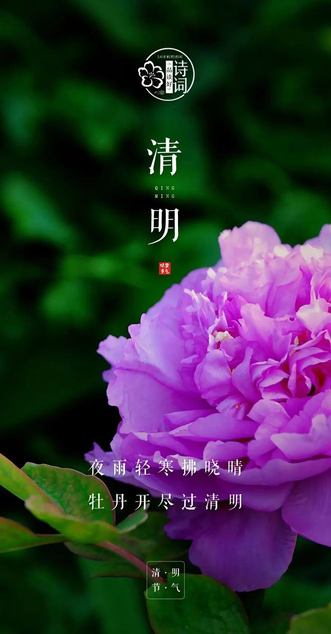 清明節英文翻譯_清明節英文怎么說_清明節英文短句