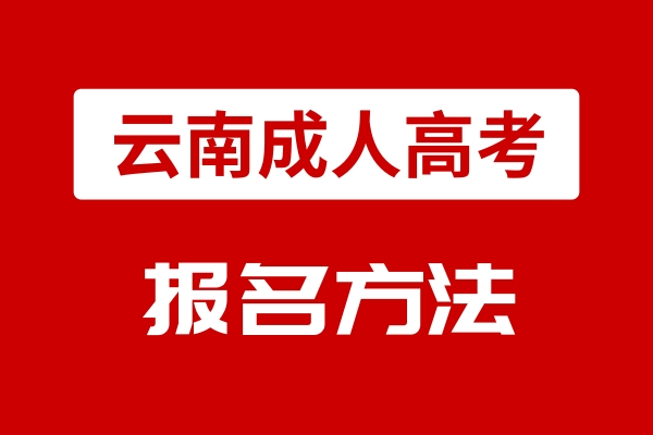 2024云南高考狀元_云南省狀元2021高考_云南狀元2020