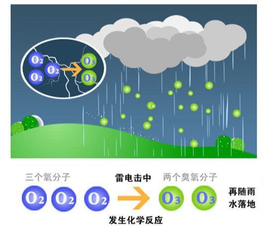 發(fā)音英語詞典_發(fā)音單詞是什么意思_