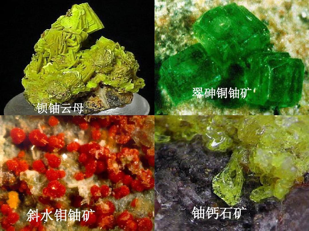 _發(fā)音英語詞典_發(fā)音單詞是什么意思
