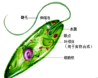 四級答案2024年6月真題_02447真題答案_真題答案2021