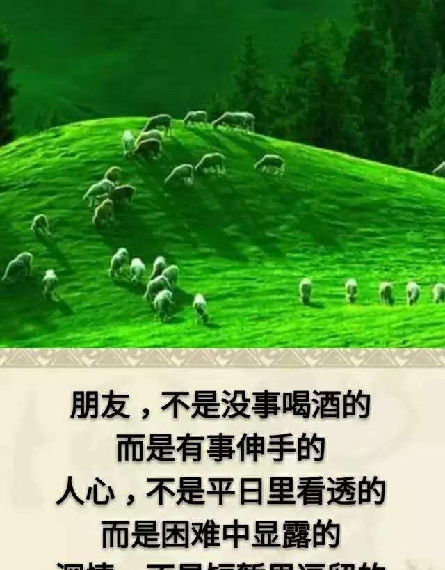 性情什么意思_性情意思的詞語_性情是指的什么意思