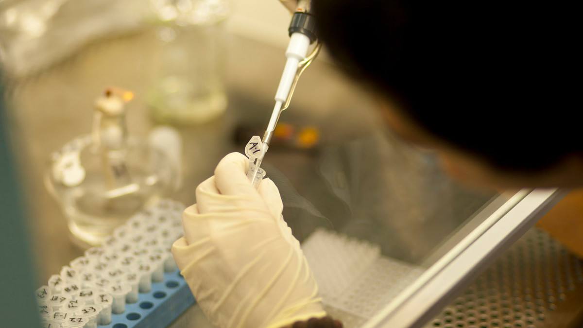 藥物化學專業_藥物化學專業大學排名_藥物化學專業是干什么的