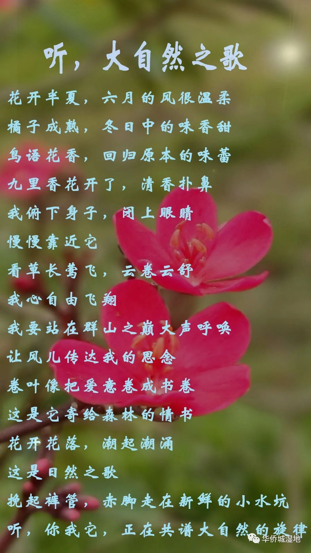 順其自然英語_順應自然英語翻譯_英語的順其自然