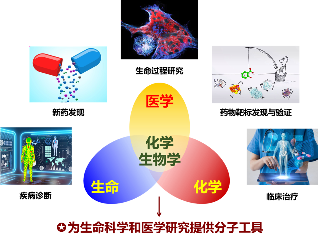 美國雪城大學_美國雪城大學所在城市_美國雪城大學是名牌大學嗎