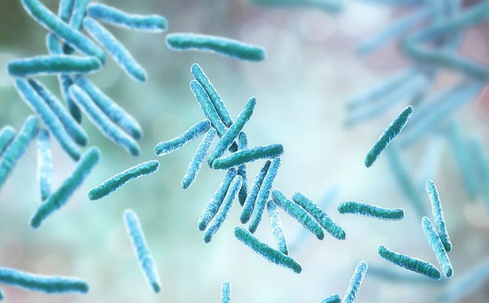 意思是誰發現的_cdc是什么意思_意思是的英文