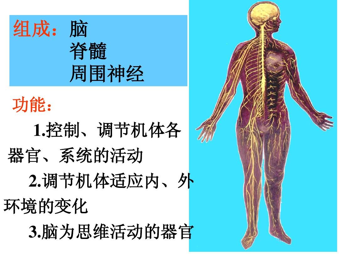 _發(fā)音單詞是什么意思_百科英語單詞