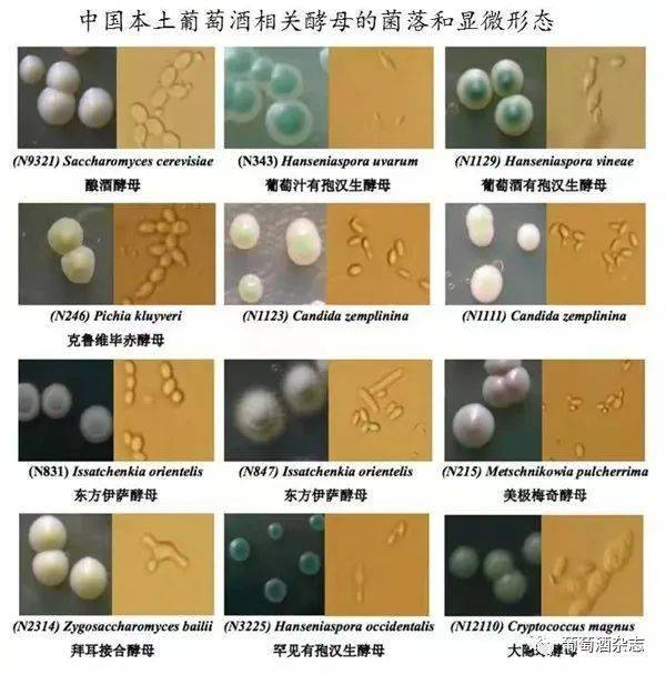 _有錢就是任性，為保青春不老，英國喜劇明星每年花1.7萬英鎊_有錢就是任性，為保青春不老，英國喜劇明星每年花1.7萬英鎊