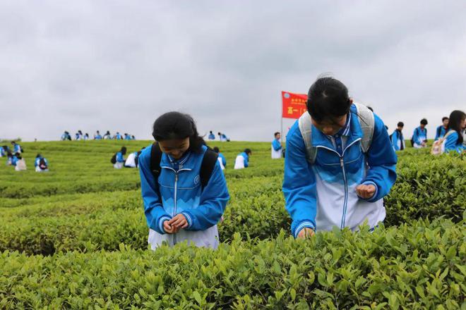 預科學校有哪些學校呢河南省_預科學校有哪些_預科學校有什么專業