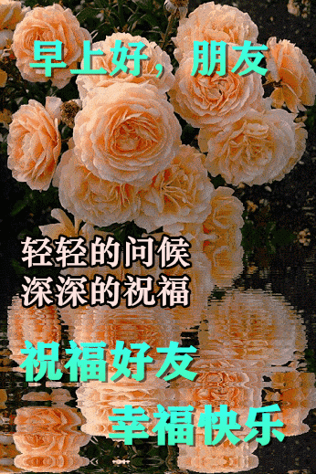 視覺傳達英語_傳達英語_傳達英語短語