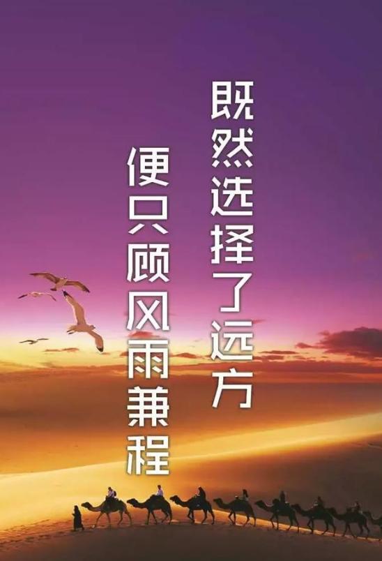 電影推薦大片9.0以上評分_電影推薦情侶一起看_十一電影推薦