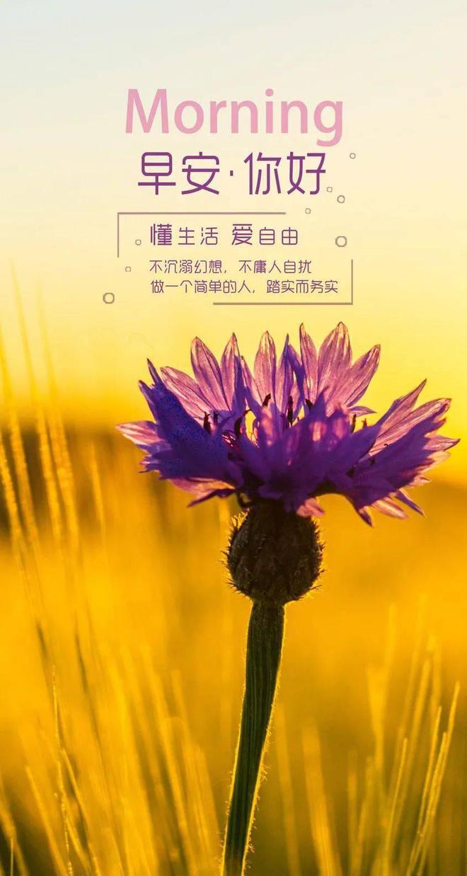 _摘抄的英語句子_精美摘抄句子大全英語