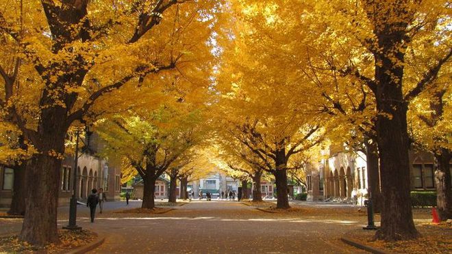慶應大學_慶應義塾大學媒體設計研究科_大學校慶