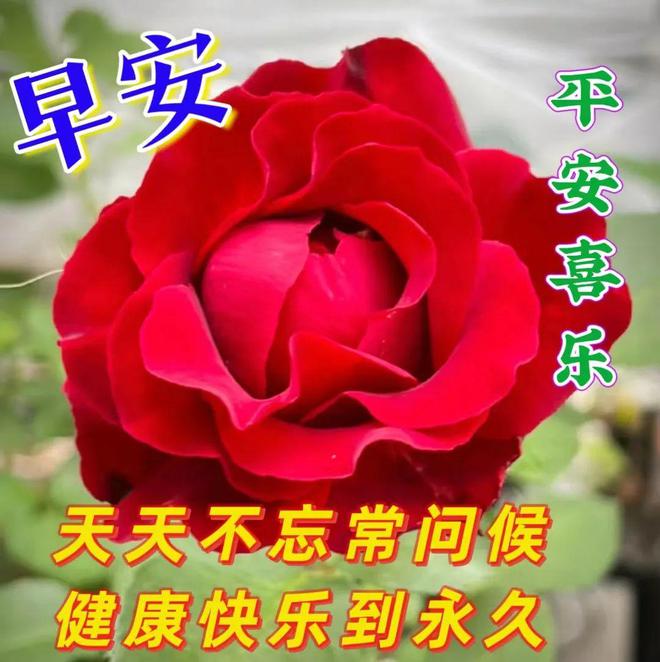 散步英語三種表達方式_散步英語怎么說_散步英語