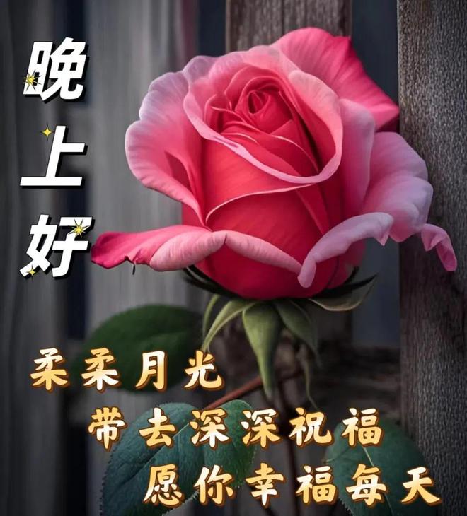 散步英語怎么說_散步英語_散步英語三種表達方式