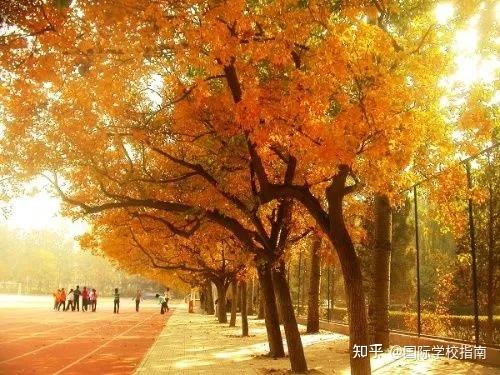 交換條件是什么_交換條件怎么過_交換生條件
