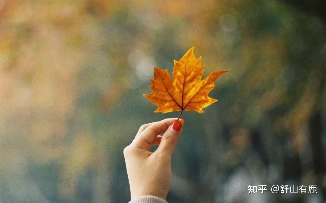 lock是什么意思_意思是龍的有哪幾個漢字_意思是龍的字