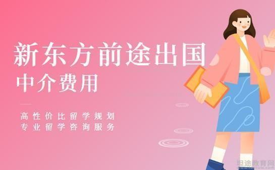 出國(guó)留學(xué)的條件_出國(guó)留學(xué)的條件和要求_留學(xué)咨詢