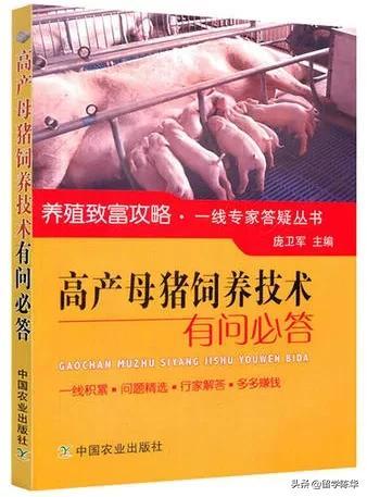 怎么出國留學_出國留學中介機構前十名_出國留學咨詢官網
