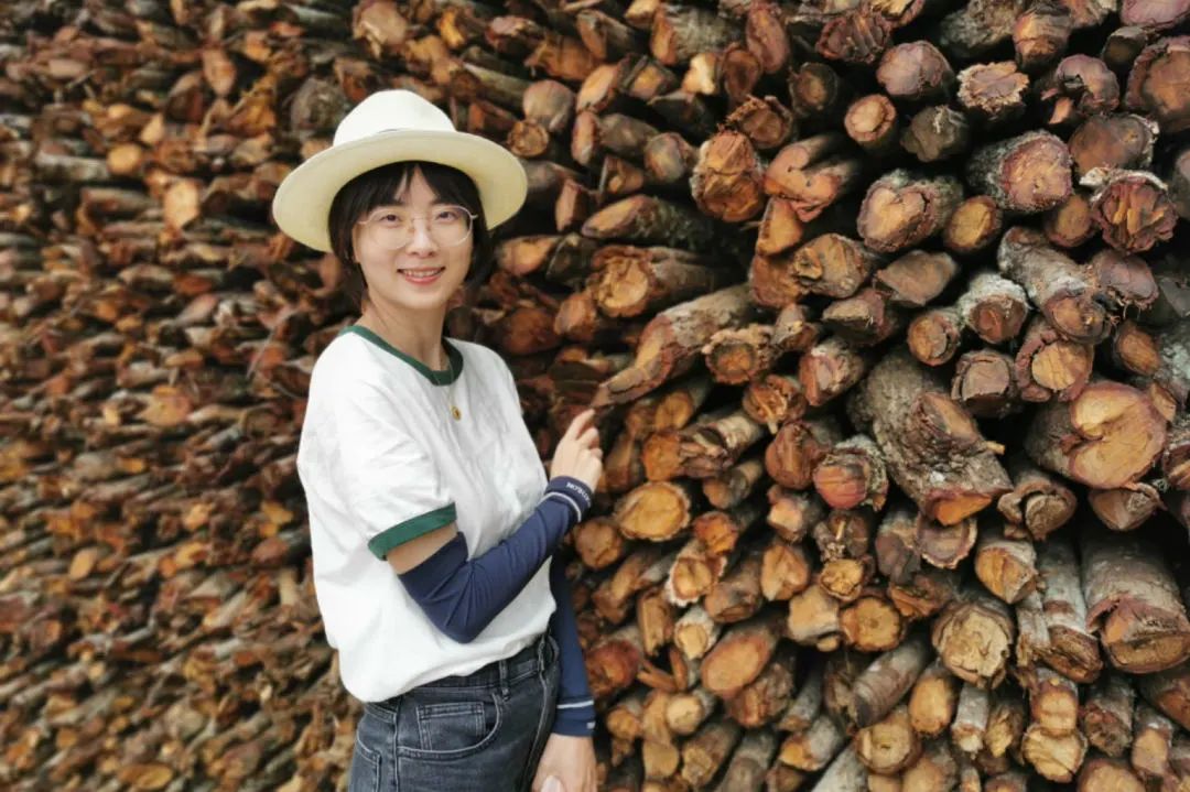 美國東北大學排名_美國的東北大學世界排名_美國東北的大學