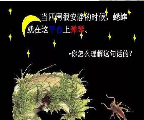 意思葉落歸根的詩句_葉落歸根的意思_葉落歸根的意思