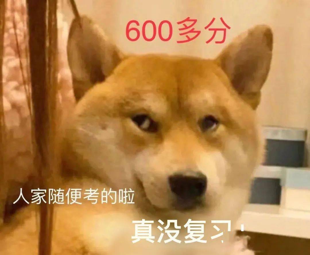 四六級準考證號忘了怎么查分_查英語六級成績忘了考號怎么辦_考證忘準六級查分號怎么辦