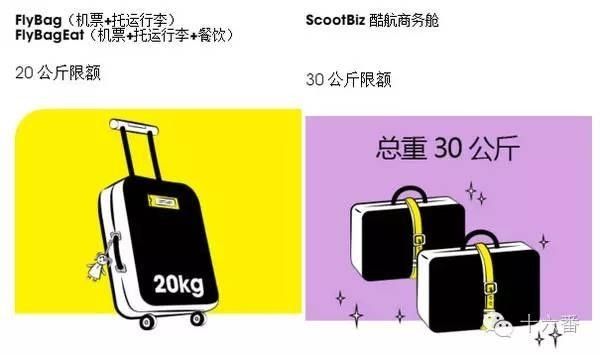 行李航班托運規定國際航班限制_國際航班托運行李規定_托運行李國際航班