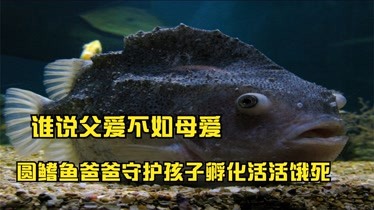 英文mp3_英文mp3是什么意思_英文mp3轉中文