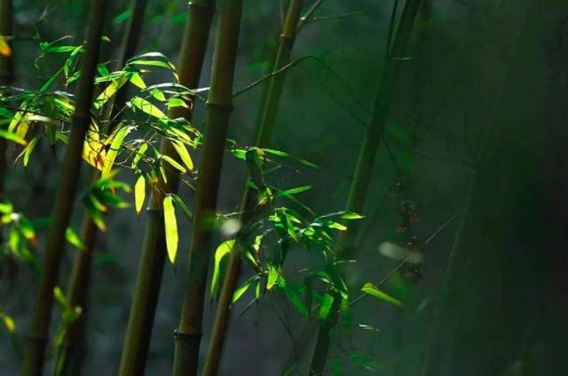 白居易為什么寫長恨歌_白居易長恨歌寫作背景_白居易長恨歌寫作特色