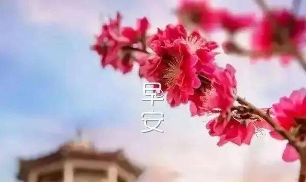 大徹大悟的名句_大徹大悟的10精美句子_大徹大悟的10精美古詩詞