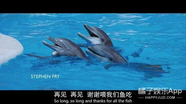 修女是什么意思_修女意思是什么_修女指的是什么