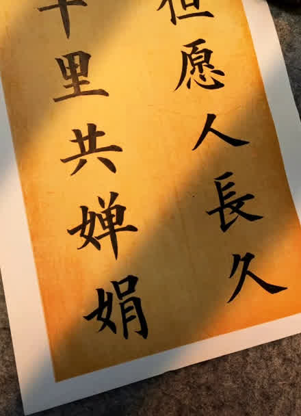但愿人長久共嬋娟表達的情感_但愿長久共嬋娟_但愿人長久千里共嬋娟是什么意思