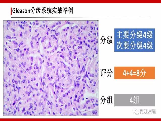 皇后大學相當于國內什么學校_皇后大學_皇后大學在哪個城市