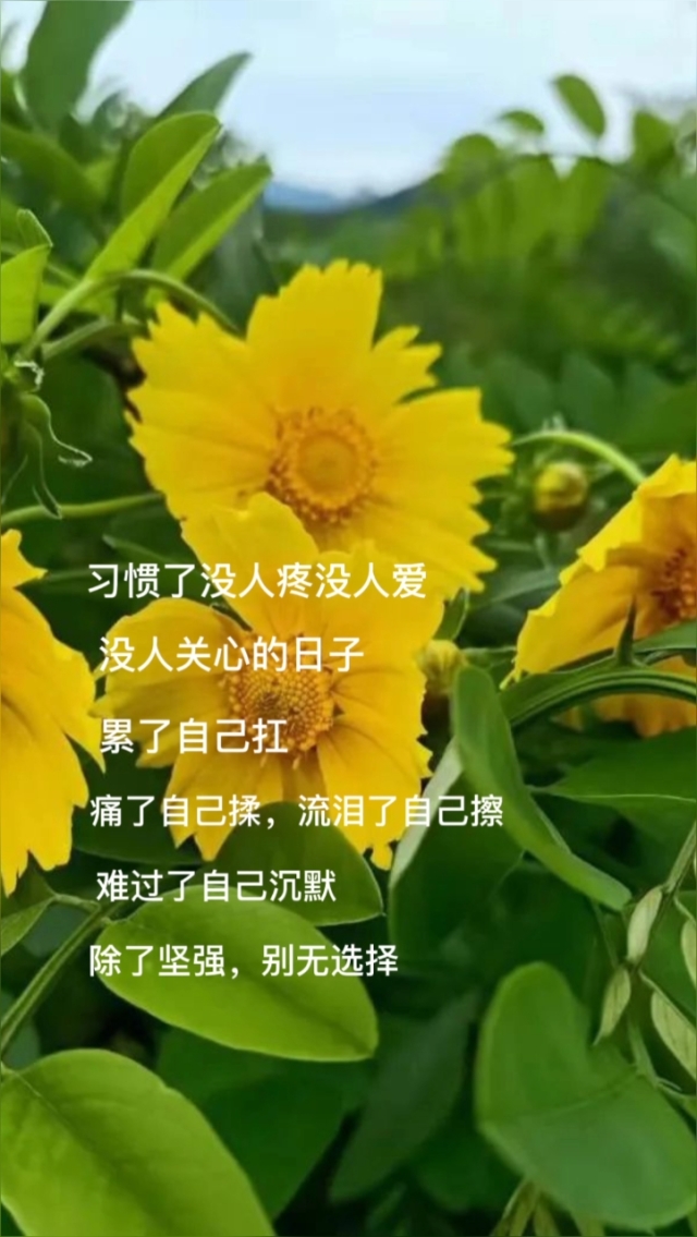 鋼鐵是怎樣煉成的名言_名言鋼鐵煉成是誰寫的_名言鋼鐵是怎樣煉成的