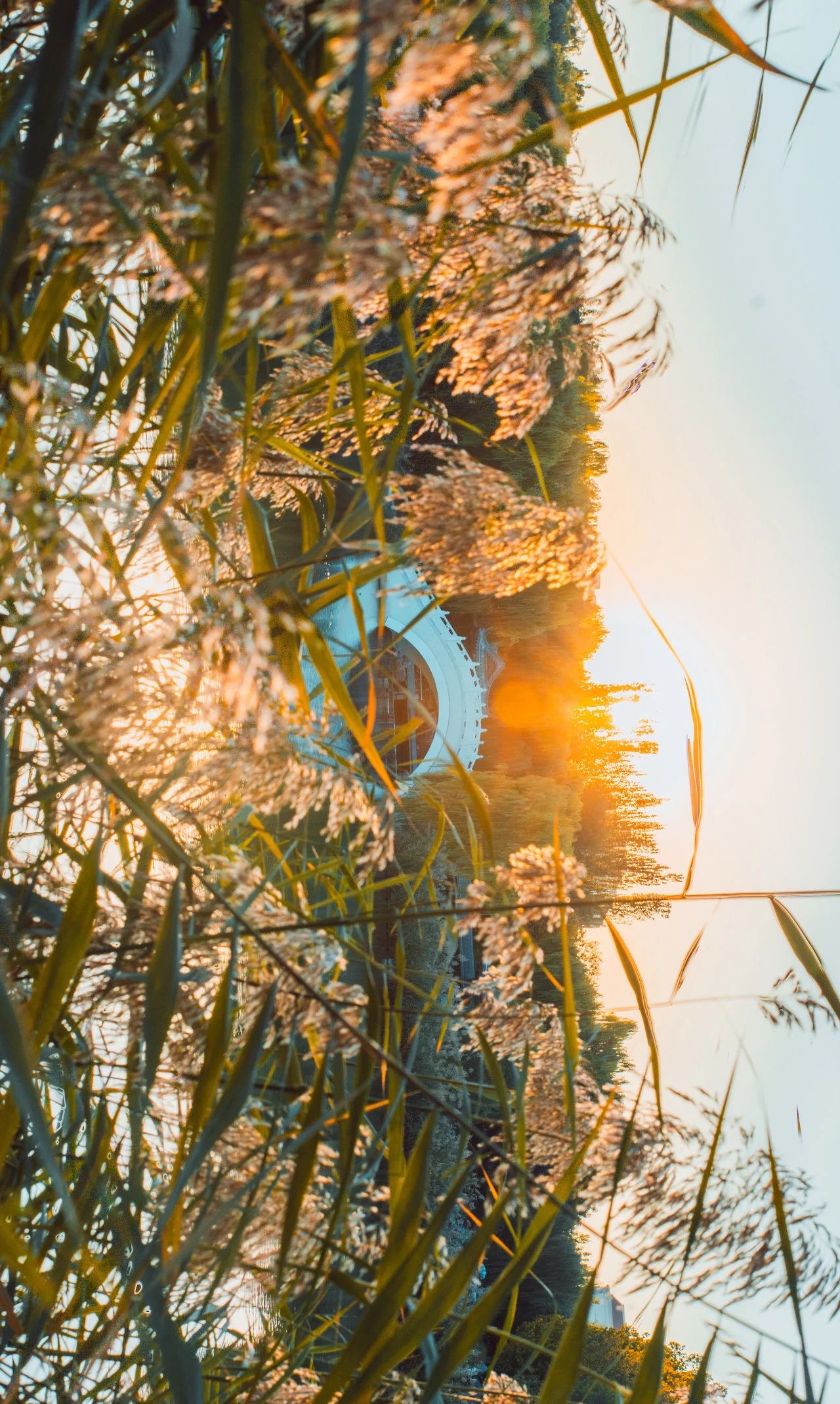 加拿大大學排名前十_加拿大的大學_加拿大大學排名及學費一覽表