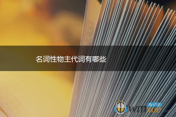 名詞能成分后面物代詞性代詞嗎__名詞可充當什么成分