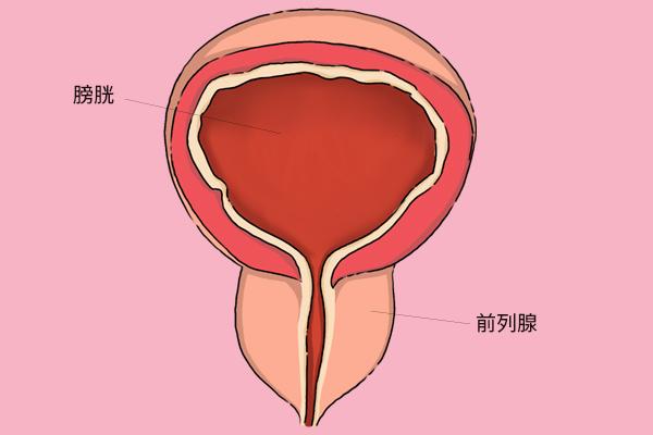 灼讀shuo還是zhuo_灼讀什么拼音_灼怎么讀