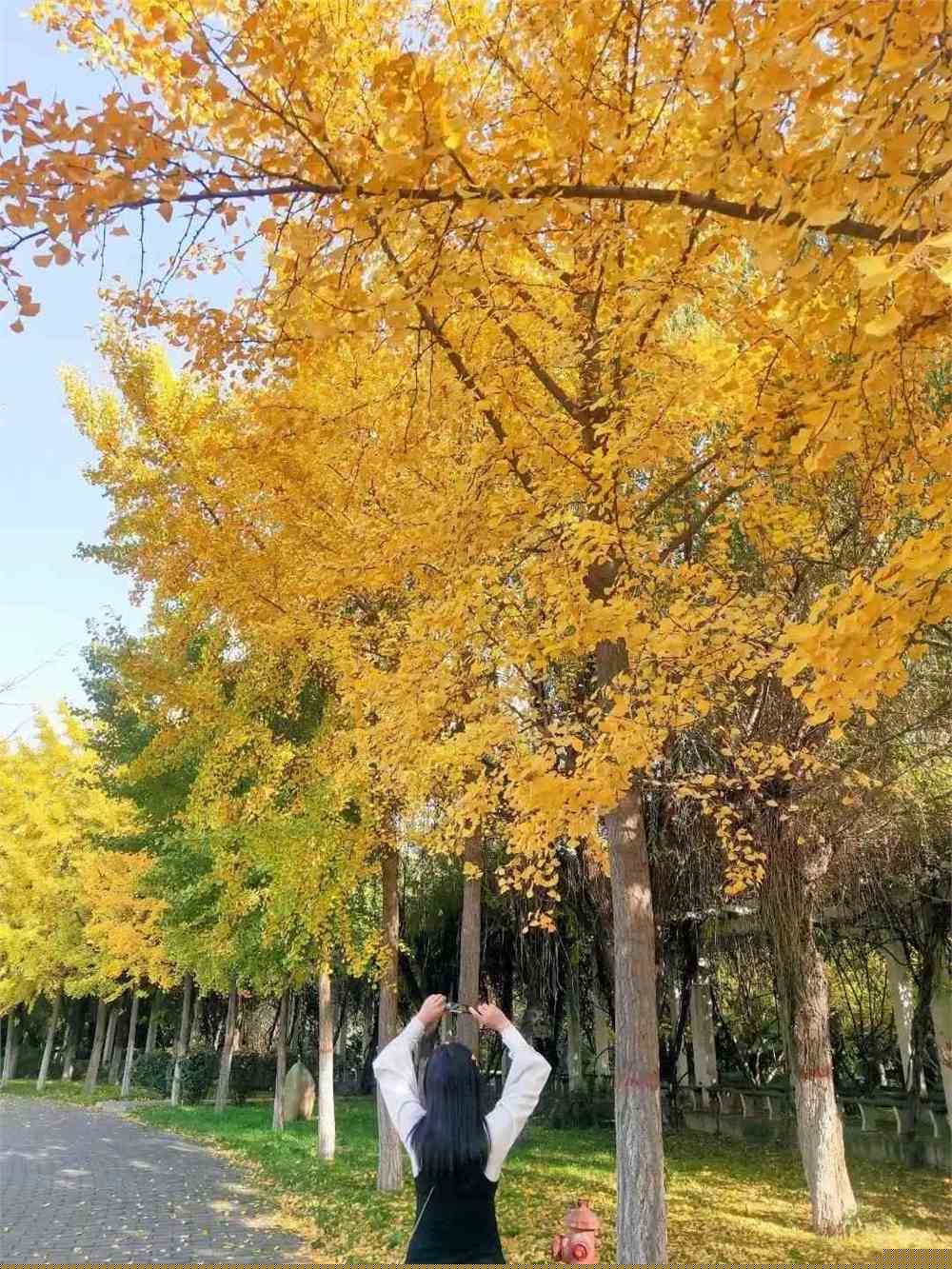 西安有名大學理工二本_西安理工大學二本專業_理工西安二本大學專業有哪些