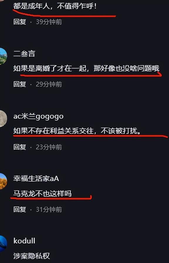 意思是對的成語_dull是什么意思_dullwork