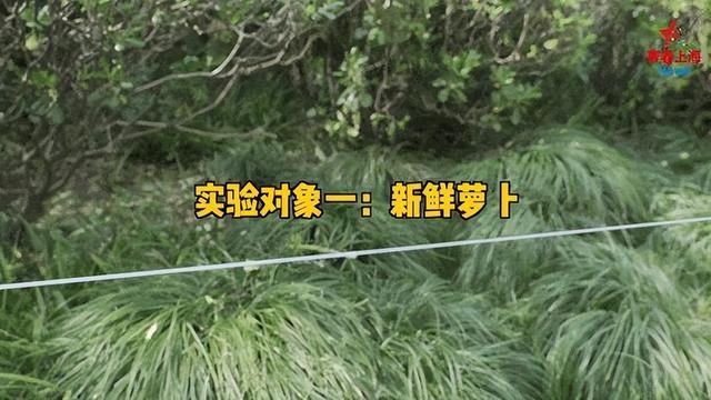 國立橫濱大學排行_國立橫濱大學qs_橫濱國立大學