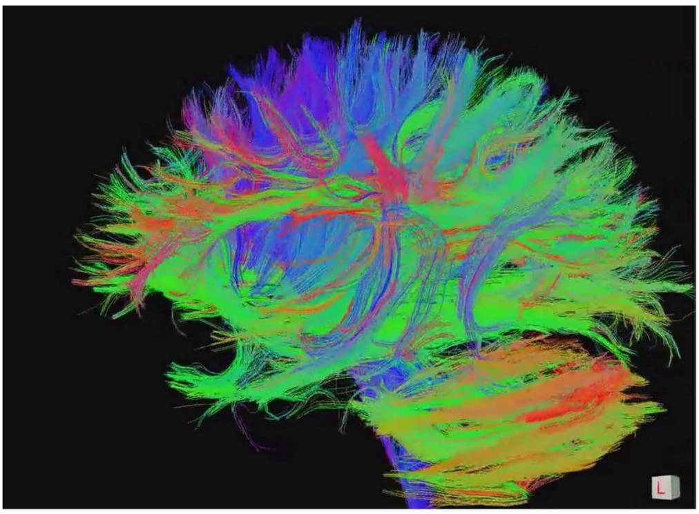 整合科學_科學整合人力資源_科學整合利益群體