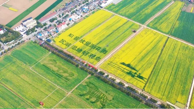 湖北分數線是多少_湖北本科線分數2021_湖北一本分數線