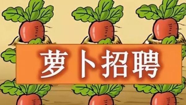 南昌市招考辦聯系電話_南昌市招考信息網_南昌市招考辦官網