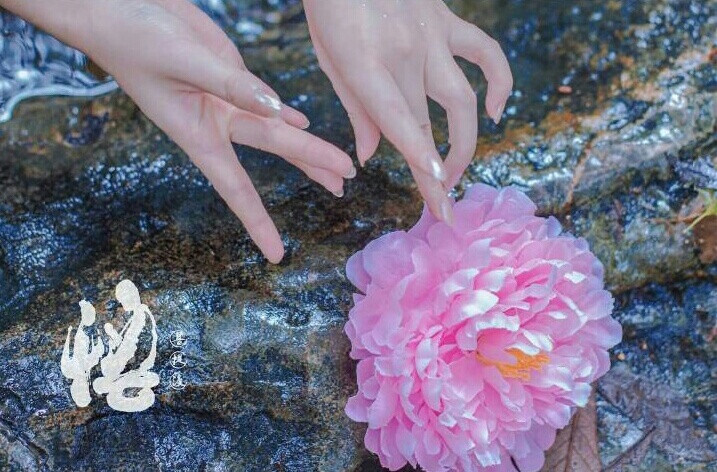 負(fù)如來(lái)負(fù)卿_不負(fù)如來(lái)不負(fù)卿是什么意思_負(fù)如來(lái)不負(fù)卿是什么意思