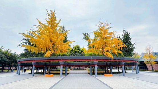 萊州人事考試網_萊州市考試信息網_萊州市人才招聘
