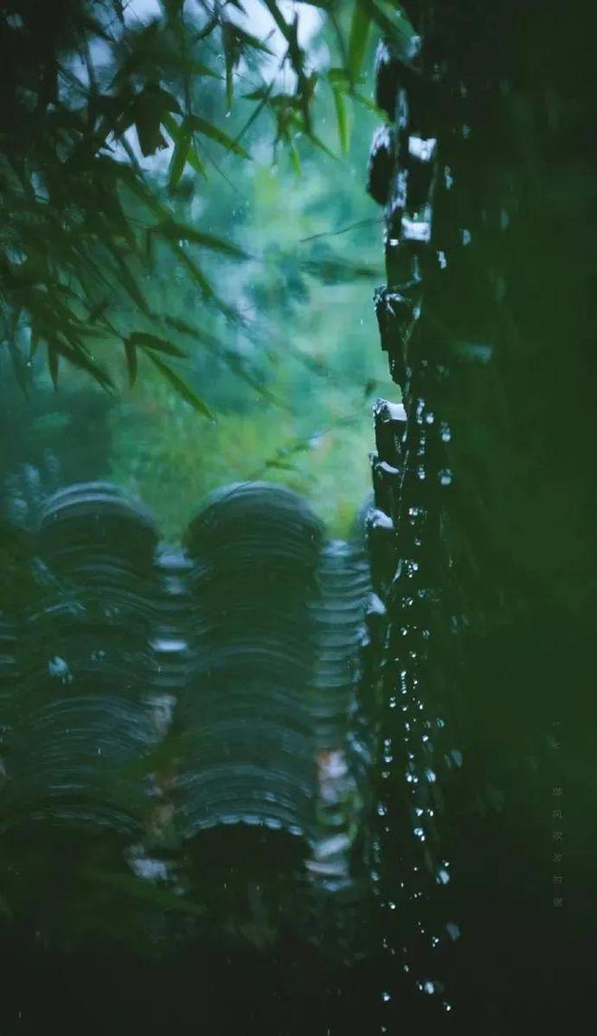 黃梅時節(jié)處處雨_黃梅時節(jié)家家雨的下一句_黃梅時節(jié)雨紛紛整詩