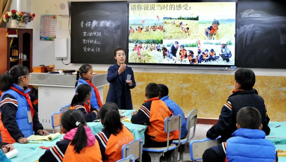 上海人才市教育網官網_上海市教育人才網_上海人才市教育網登錄